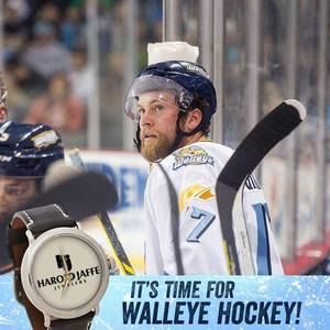 Meet your Posher, Polly